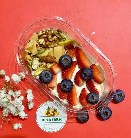 Hình ảnh (G9) Dâu - việt quất - sữa chua Hy Lạp - granola