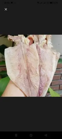 Hình ảnh khô mực nướng lớn 