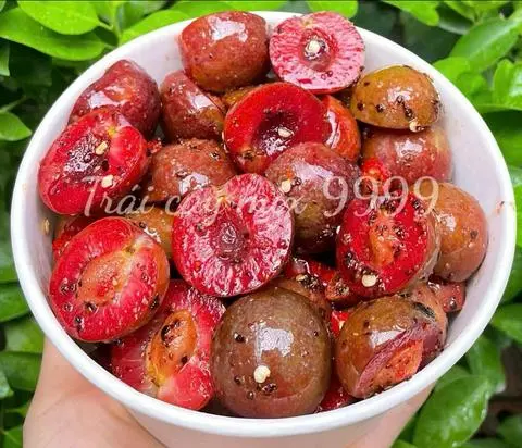 Hình ảnh Mận Hà Nội lắc