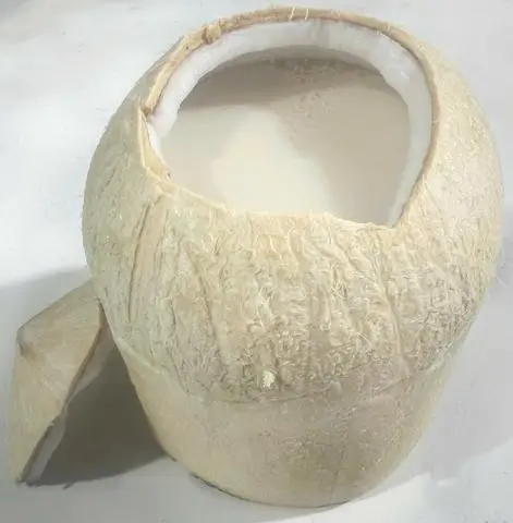 Hình ảnh Rau câu dừa trái lớn-GỌT vỏ