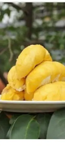 Hình ảnh Sầu riêng dầm dừa