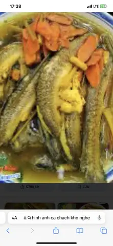 Hình ảnh cá chạch kho nghệ (thêm)