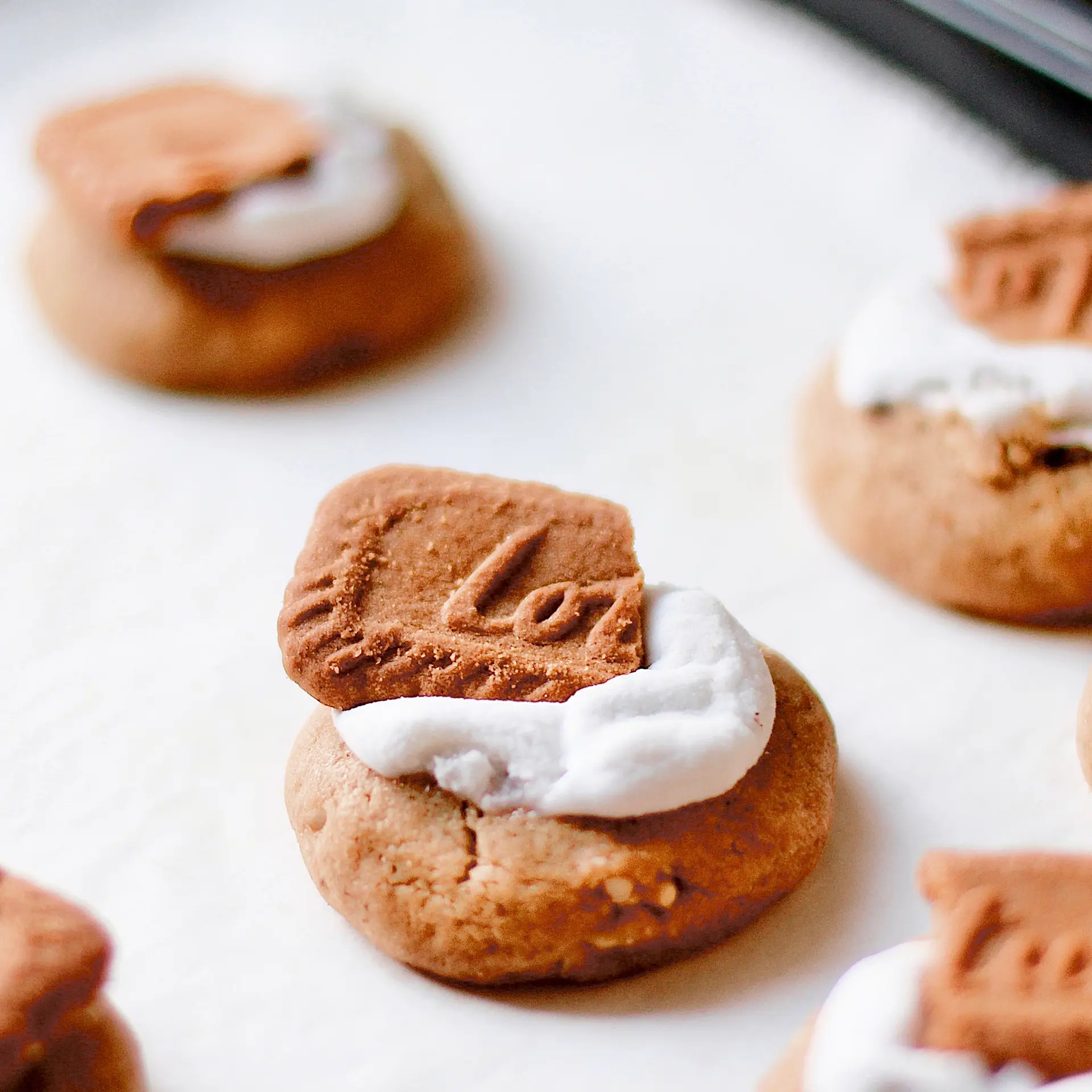 Hình ảnh Caramel Biscoff Cookie - 40g