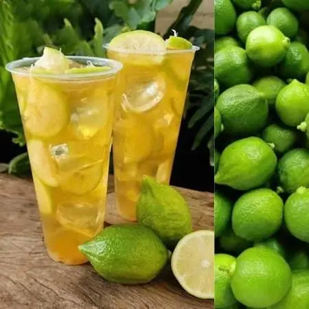 Hình ảnh Nước đá chanh