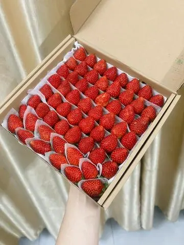 Hình ảnh Mua 2 hộp dâu nhật skyberry size vừa tặng hũ muối xí muội