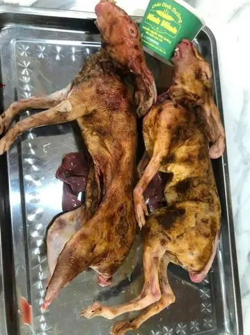 Hình ảnh thỏ hầm củ sen