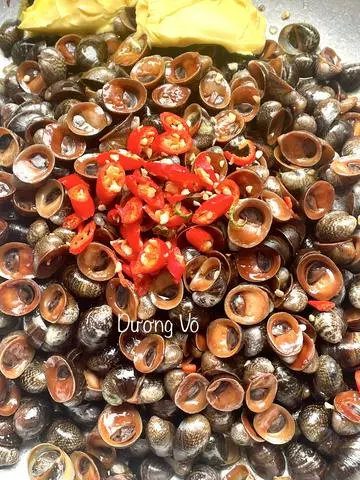 Hình ảnh Ốc Dừa Cồ Xốc Muối