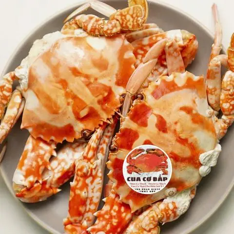Hình ảnh 2 GHẸ ĐỎ SIZE LỚN (500~600gr)