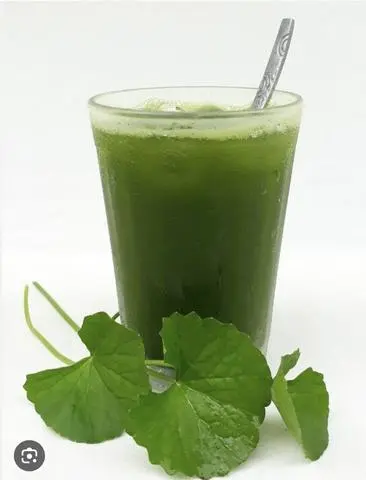 Hình ảnh Rau Má Dừa