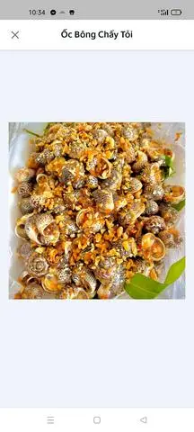 Hình ảnh Ốc Bông Chấy Tỏi