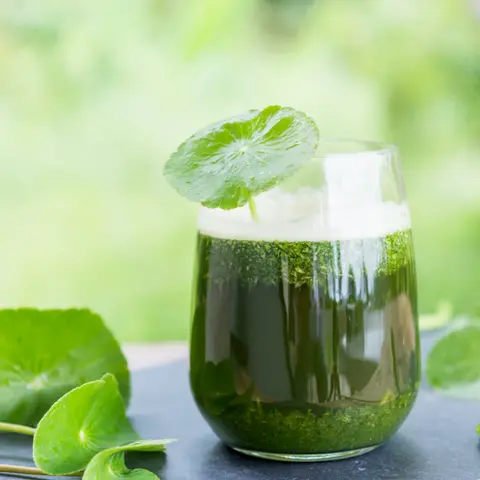 Hình ảnh rau má nguyên chất