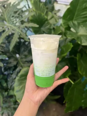 Hình ảnh Sâm dứa sữa 
