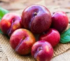 Hình ảnh Mận Hà Nội