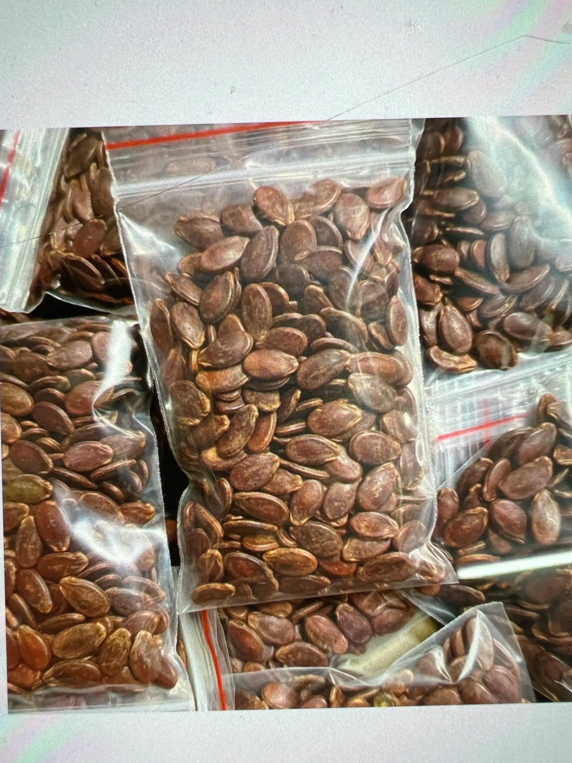 Hình ảnh Hạt Dưa 