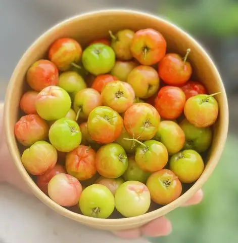 Hình ảnh Sơ ri kèm muối tôm