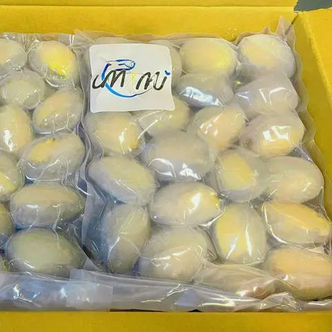 Hình ảnh Bào Ngư Hàn Quốc 1Kg (18 Con), Bào Ngư Nhập Khẩu Nấu Súp, Cháo, Sashimi...