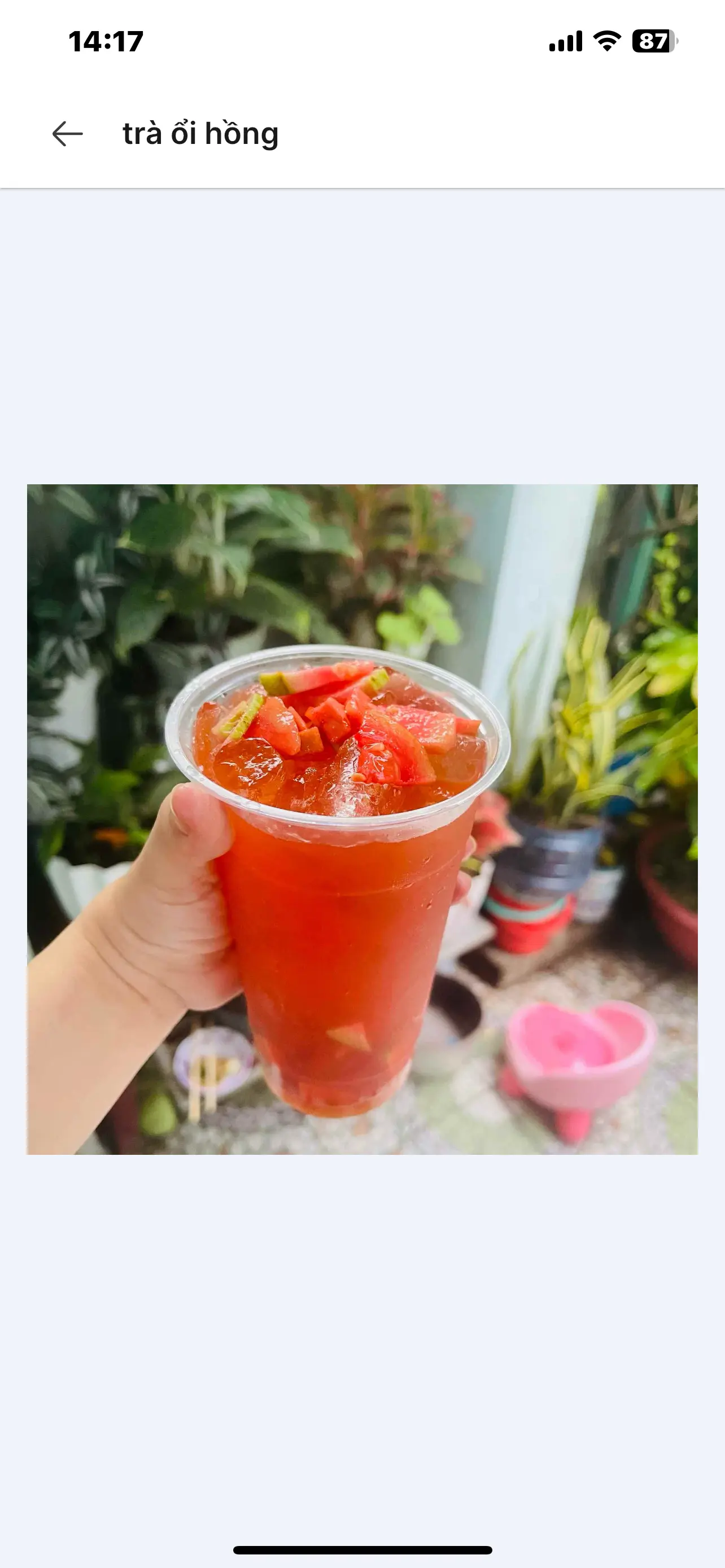 Hình ảnh trà ổi