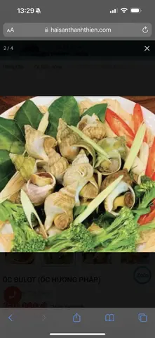 Hình ảnh Ốc Bullot hấp sả