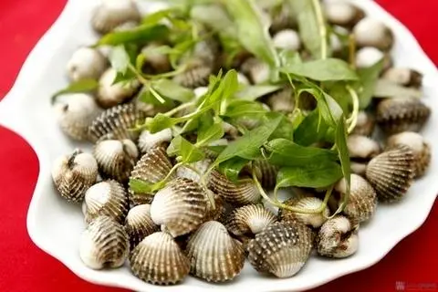 Hình ảnh sò huyết la cốt