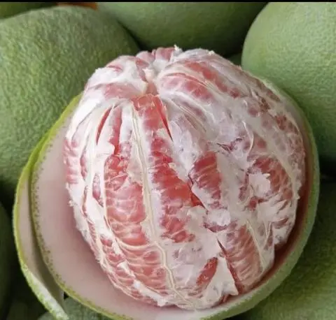 Hình ảnh Bươi da xanh