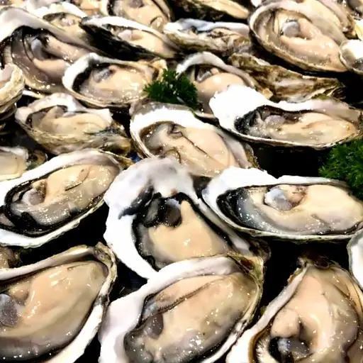 Hình ảnh Hàu hấp cách thủy