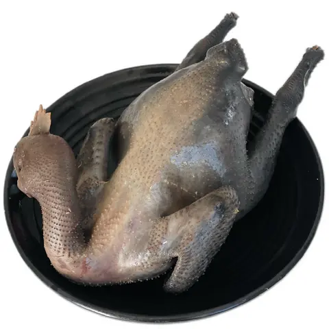 Hình ảnh Gà ác thêm