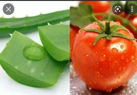 Hình ảnh Sinh tố cà chua +nha đam