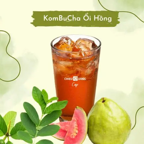 Hình ảnh Kombucha ổi hồng thảo mộc