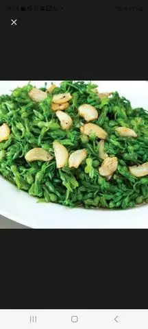 Hình ảnh Hoa thiên lý xào tỏi