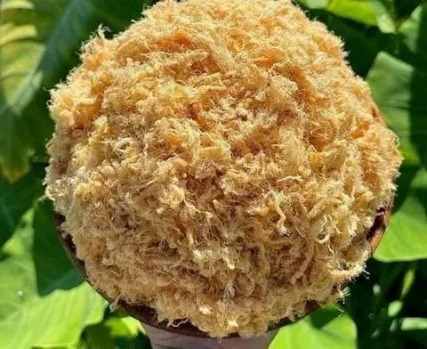 Hình ảnh 100gr chà bông heo 