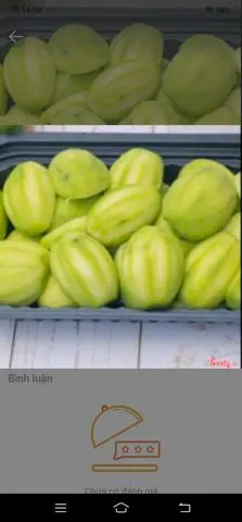 Hình ảnh Cốc Non Mắm Ruốc
