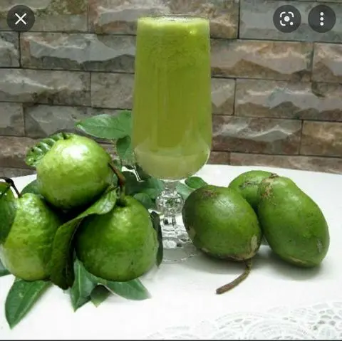 Hình ảnh Nước ép cóc 