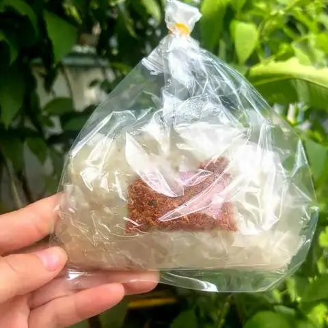 Hình ảnh Bánh tráng dẻo muối tôm