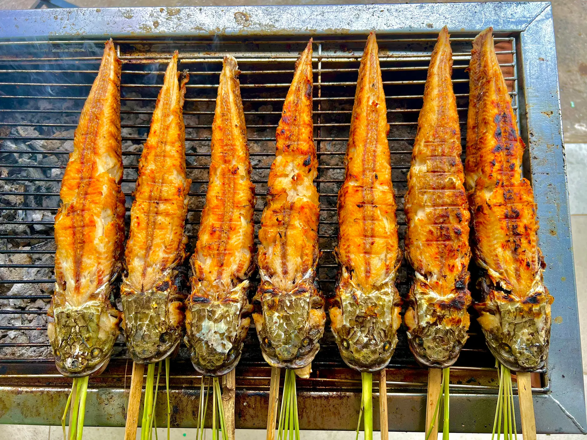 Hình ảnh Combo 2 cá size lớn