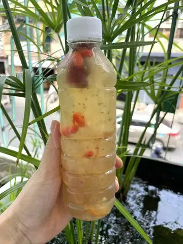 Hình ảnh Chè dưỡng nhan
