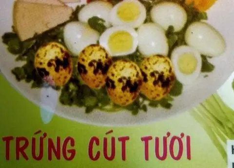 Hình ảnh Trứng cút 