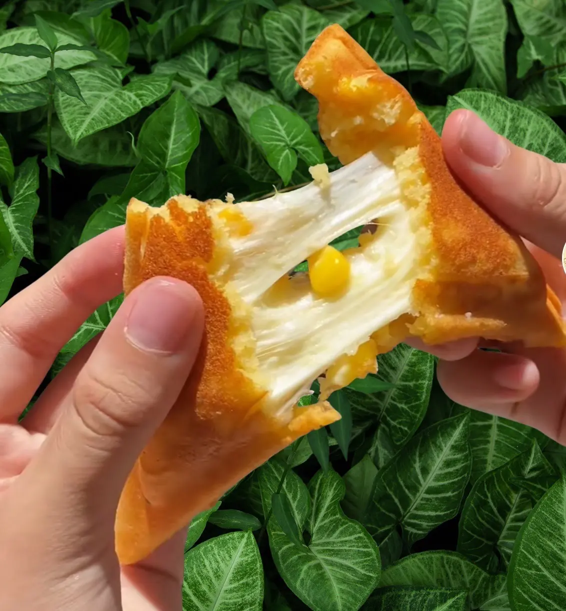 Hình ảnh Hotdog Bắp Phô Mai Kéo