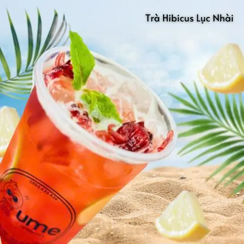Hình ảnh Hibiscus Lục Trà Nhài