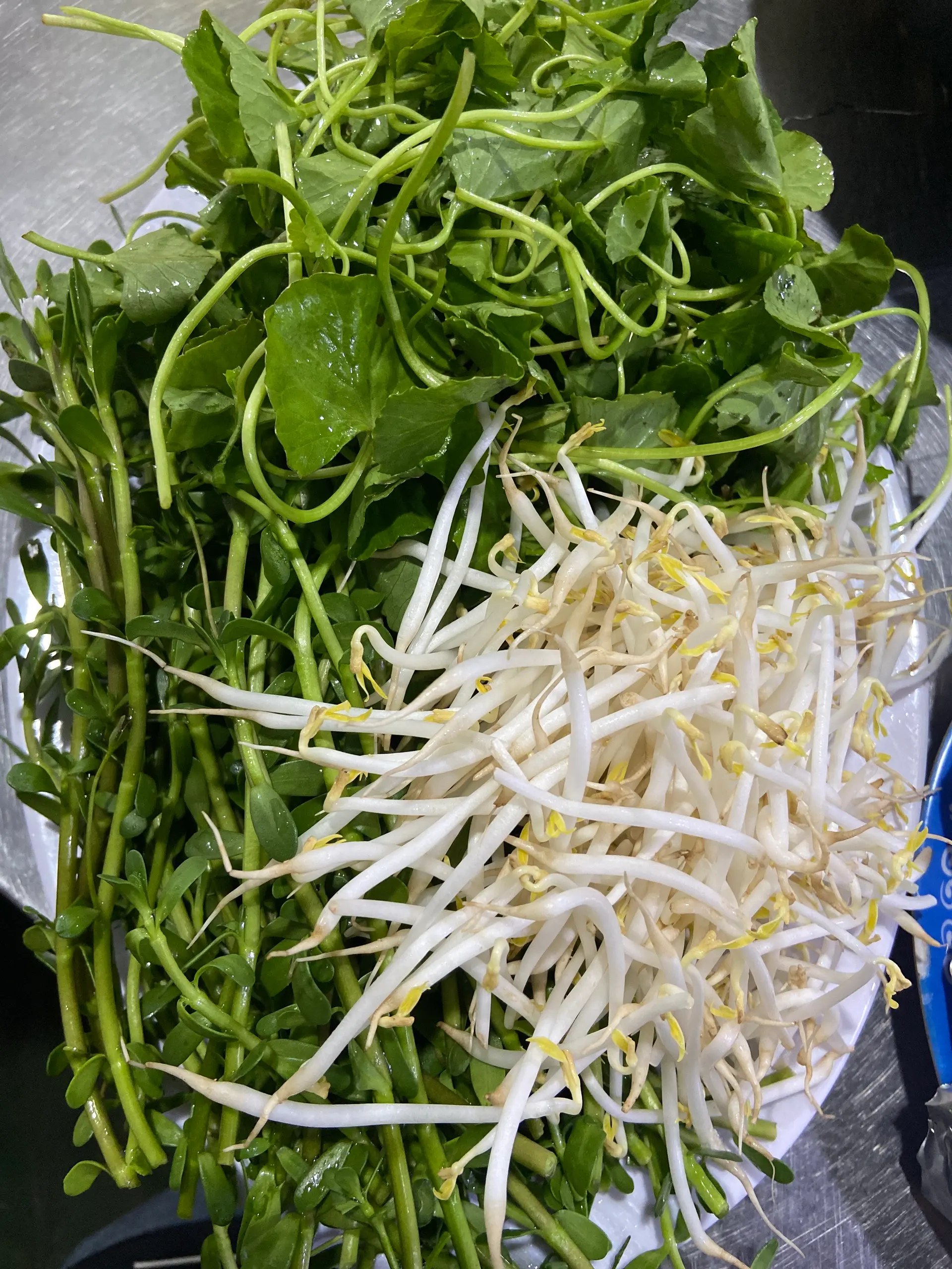 Hình ảnh Rau Thêm ( Lẩu Cháo )