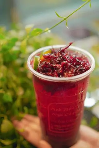 Hình ảnh Trà hoa atiso đỏ