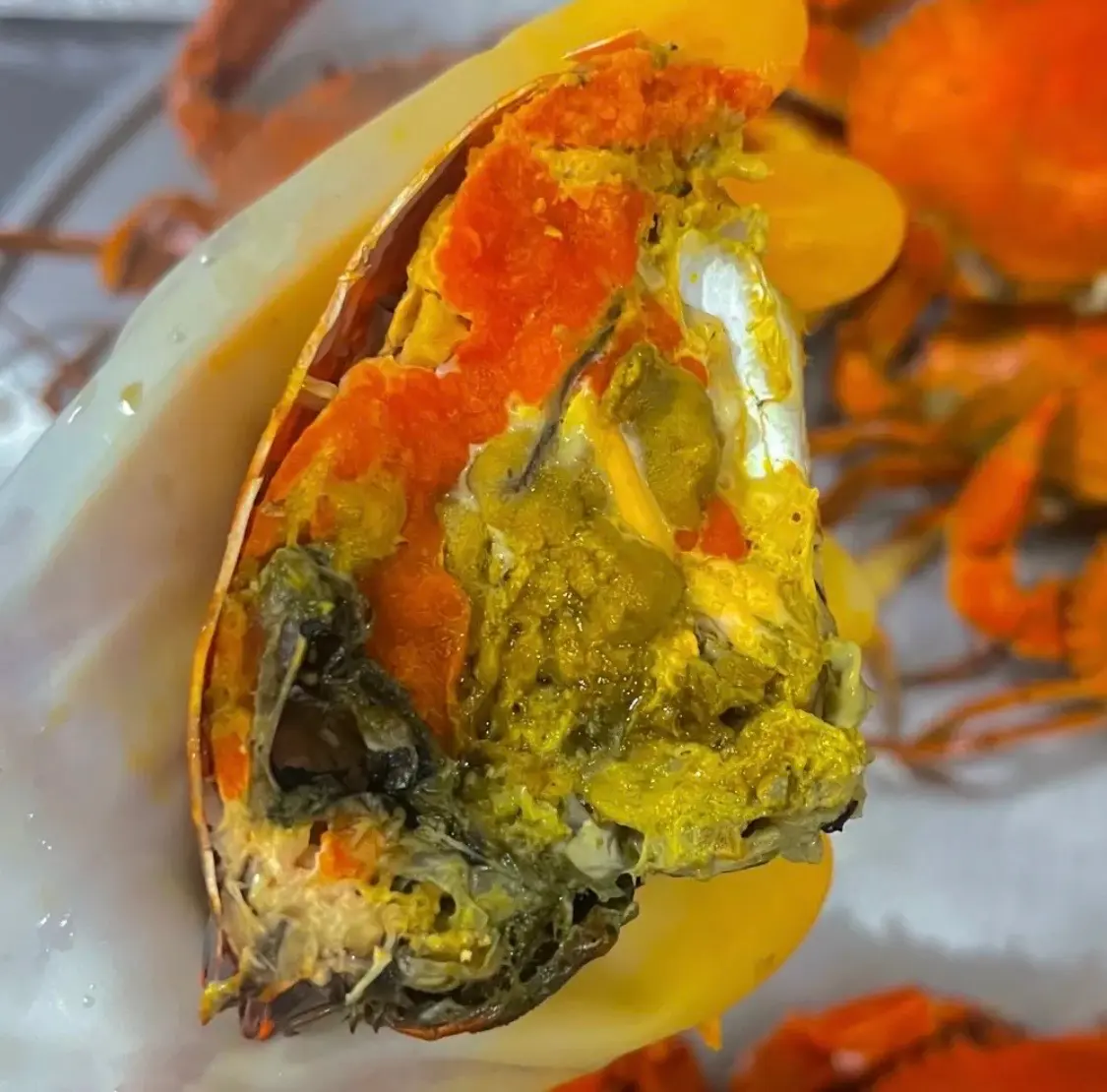 Hình ảnh 1 CUA GẠCH SIZE LỚN
