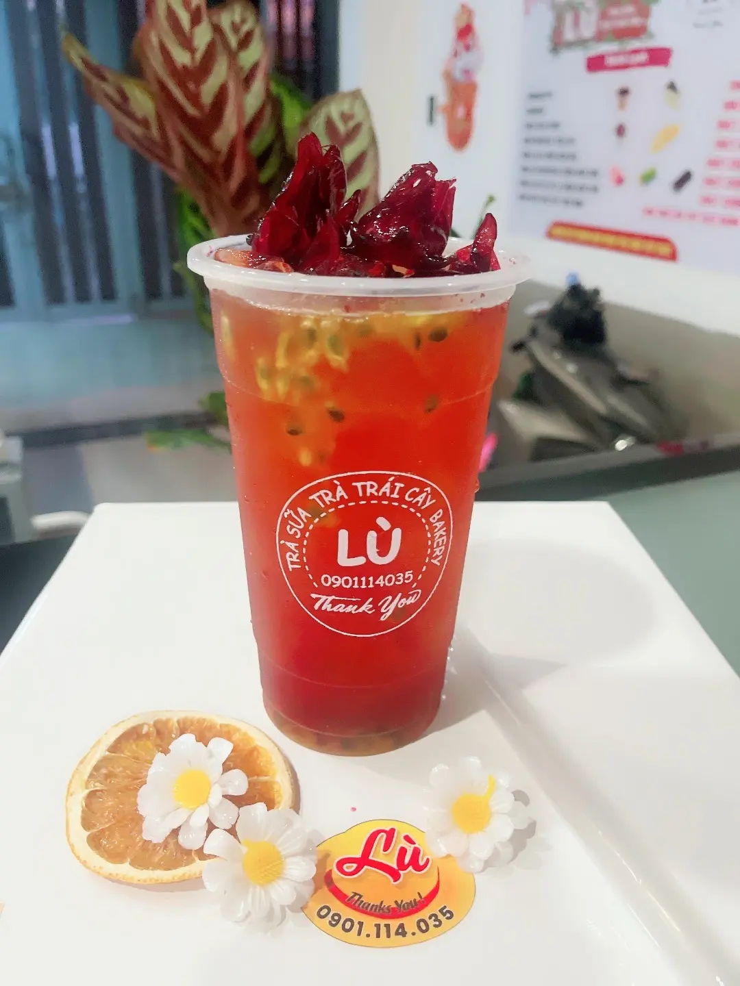 Hình ảnh Trà hibiscus chanh dây