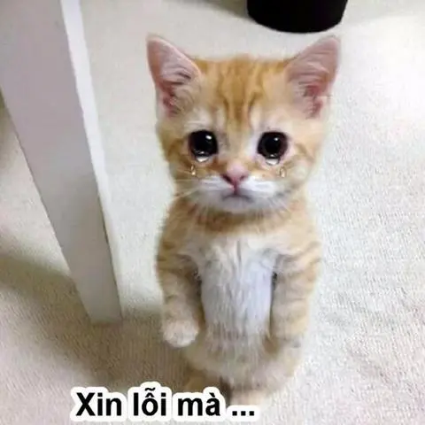 Hình ảnh Báo cáo sai món/thiếu/vệ sinh món