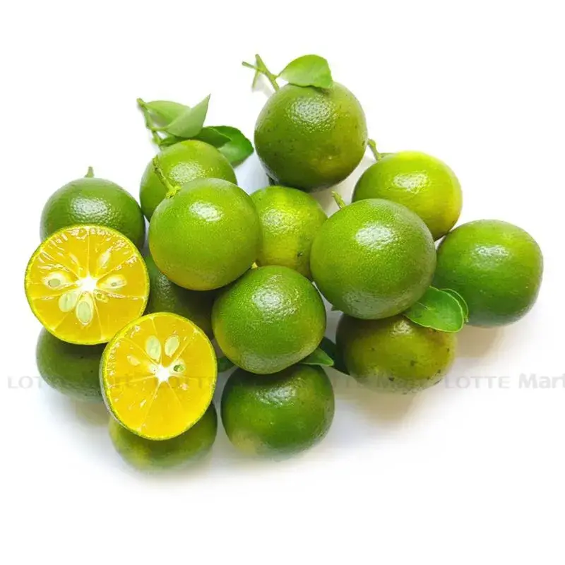 Hình ảnh Tắc [ 5 trái ]