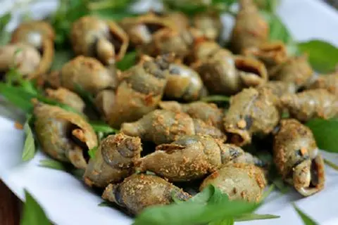 Hình ảnh cà na rang muối 