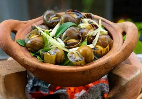Hình ảnh ốc lát hấp xã, hấp thái, xào xã ớt