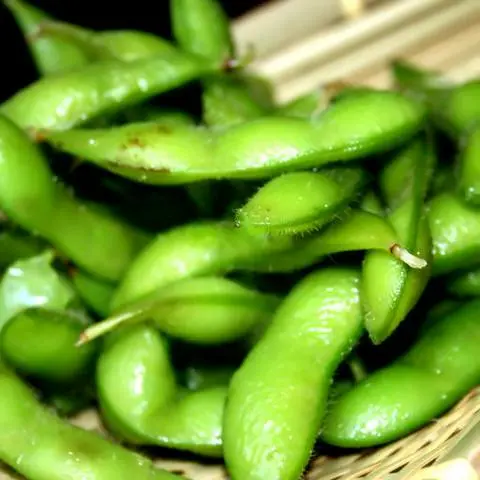 Hình ảnh A-8: Đậu nành Nhật/ Edamame