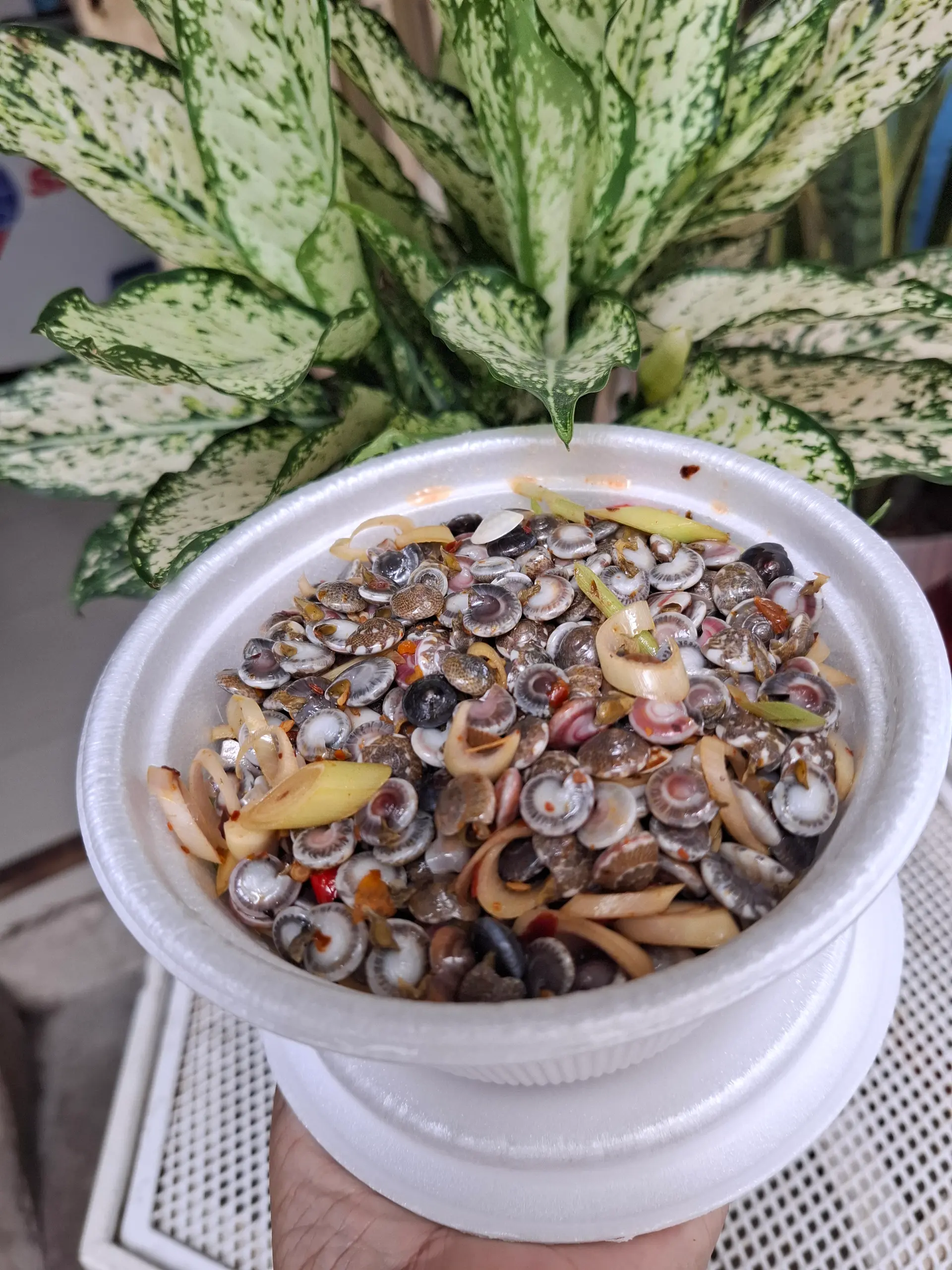 Hình ảnh ốc ruốc trung xào sả ớt phần 1 kg