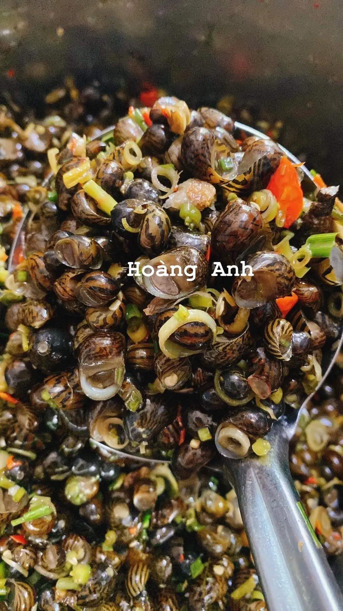 Hình ảnh Ốc lác Quảng Ngãi 0,5kg