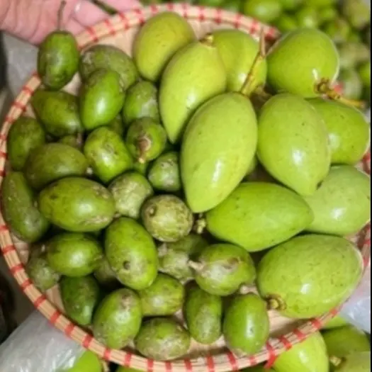 Hình ảnh xoài non + cóc non 0,5kg - Muối 